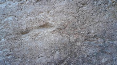 beton duvar dokusu arkaplanı