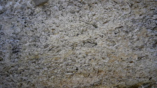 beton duvar dokusu arkaplanı