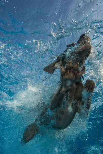 Cane Stanno Nuotando Acqua — Foto Stock