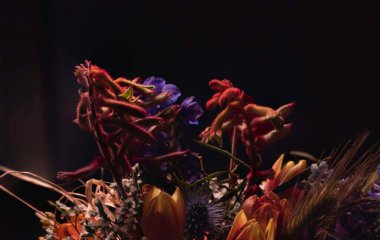 Siyah arka planda izole edilmiş çiçekler. Çiçek aranjmanı, bir buket çiçek.. 