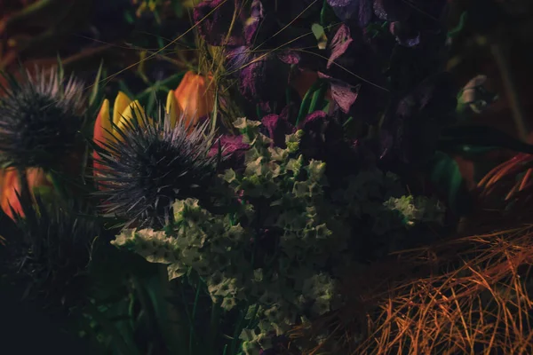 Blumen Isoliert Auf Schwarzem Hintergrund Blumenschmuck Strauß Von Gartenblumen — Stockfoto
