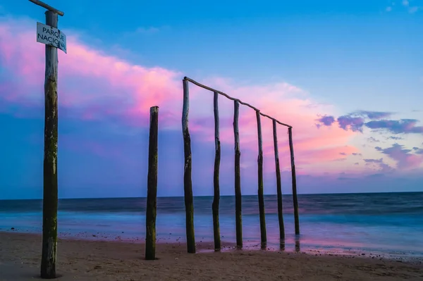 해질 녘에 해변에 있는 나무 기둥들 — 스톡 사진