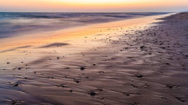 Gün batımında deniz kabuklarıyla dolu kumlu sahil
