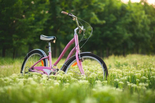공원에 초원에 분홍색 자전거 — 스톡 사진