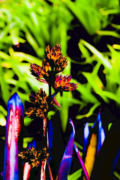 O fundo preto está cheio de cores . — Fotografia de Stock