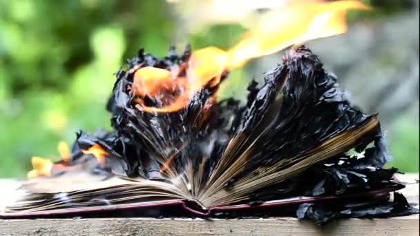 Biblia Vela Sobre Una Vieja Mesa Quemada Madera Hermoso Fondo — Vídeos de Stock