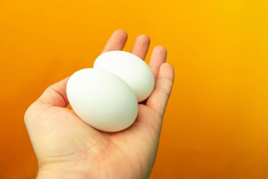 Yumurta turuncu bir arka plan üzerinde tutan el.