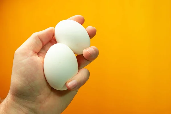 Mão Segurando Ovos Fundo Laranja — Fotografia de Stock