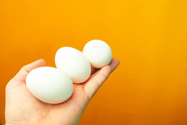 Mão Segurando Ovos Fundo Laranja — Fotografia de Stock