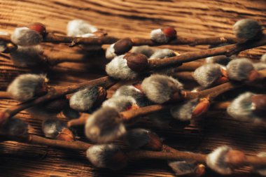 Eski meşe ahşap zemin üzerine söğüt. Yakın çekim.