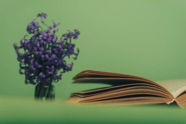 Açık bir kitap ve bir eski meşe ahşap masa mor çiçek. Yeşil duvar arka plan.