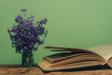 Açık bir kitap ve bir eski meşe ahşap masa mor çiçek. Yeşil duvar arka plan.