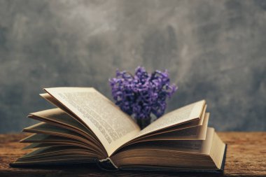 Açık bir kitap ve bir eski meşe ahşap masa mor çiçek. Gri duvar arka plan.