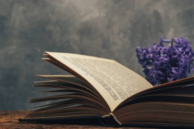 Açık bir kitap ve bir eski meşe ahşap masa mor çiçek. Gri duvar arka plan.