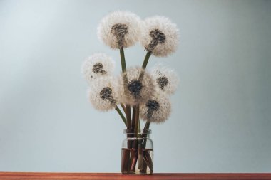 Kırmızı ahşap masa ve gri arka plan üzerinde cam vazo güzel Karahindiba.