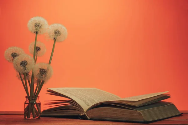 Open book  flower dandelion in vase on a blue wooden table and coral orange background.