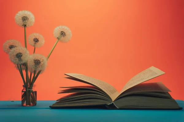 Open book  flower dandelion in vase on a blue wooden table and coral orange background.