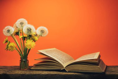 Açık kitap ve eski bir meşe masa ve mercan turuncu duvar arka plan üzerinde sarı çiçek karahindiba.
