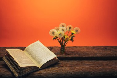 Açık kitap ve eski bir meşe masa ve mercan turuncu duvar arka plan üzerinde sarı çiçek karahindiba.