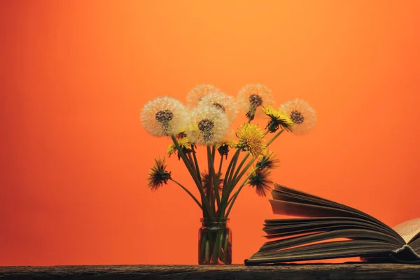 Open book and  yellow flower dandelion on a old oak table and coral orange  wall background.