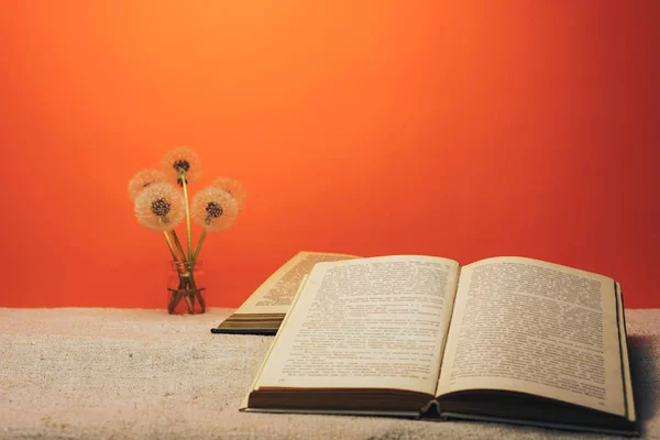 Open book and   flower dandelion on a old  table and coral orange wall background.