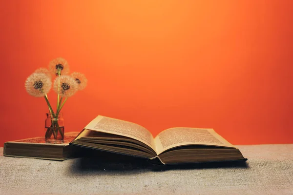 Livro Aberto Dente Leão Flor Uma Mesa Velha Fundo Parede — Fotografia de Stock