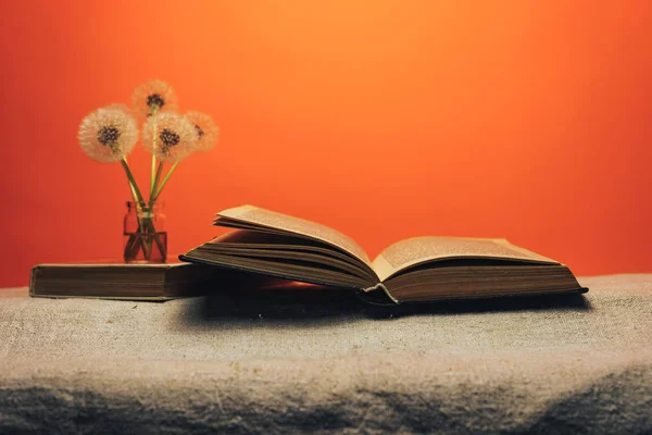 Livro Aberto Dente Leão Flor Uma Mesa Velha Fundo Parede — Fotografia de Stock