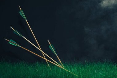 Four wooden arrows in the grass. Beautiful smog background. Medieval weapons handmade. clipart