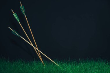 Three wooden arrows in the grass. Beautiful smog background. Medieval weapons handmade. clipart
