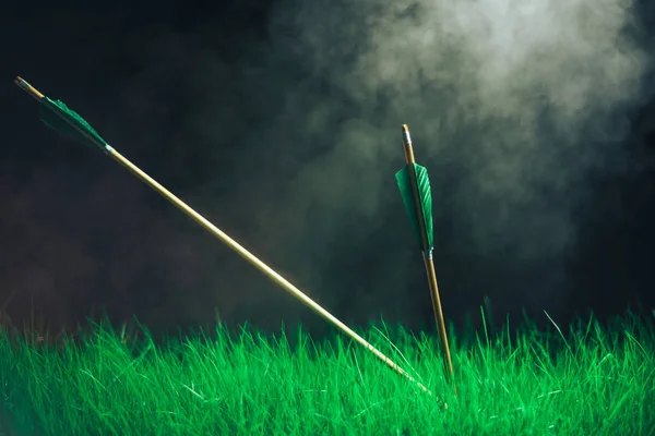 Två Träpilar Gräset Vacker Smog Bakgrund Medeltida Vapen Handgjorda — Stockfoto