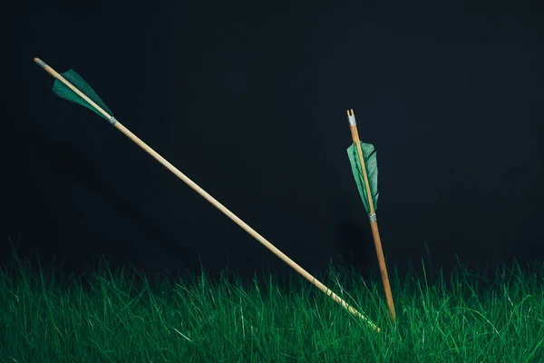 Две Деревянные Стрелы Траве Красивый Смога Фон Средневековое Оружие — стоковое фото