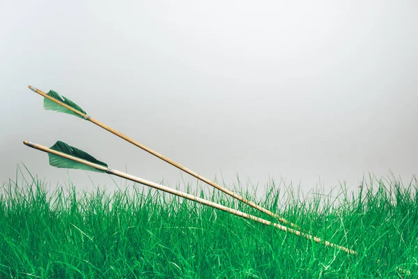 Duas Flechas Madeira Fundo Cinzento Bonito Armas Medievais São Feitas — Fotografia de Stock