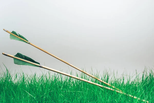 Duas Flechas Madeira Fundo Cinzento Bonito Armas Medievais São Feitas — Fotografia de Stock