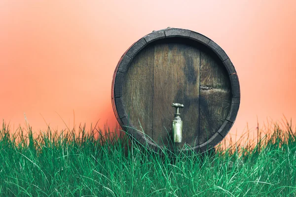 Wooden barrel with tap in grass on a coral orange background.