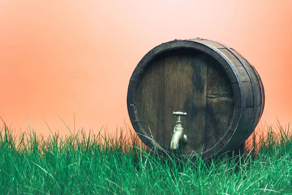 Wooden barrel with tap in grass on a coral orange background.
