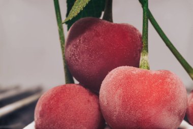Dondurulmuş güzel Taze kiraz. Makro görünümü