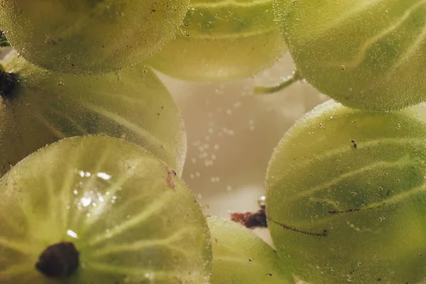 Прекрасний Свіжий Зелений Аґрус Води Перегляд Макросів — стокове фото