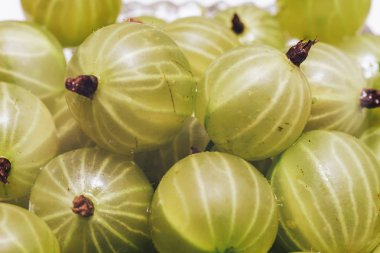Suyun güzel taze yeşil bektaşi üzümü. Makro görünümü.