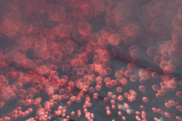 Beautiful Red Bokeh Dark Abstract Background — Stock Photo, Image