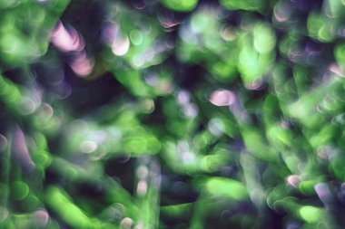 Yeşil arka planda güzel ışık bokeh.