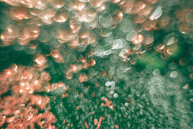 Yeşil arka planda güzel ışık bokeh.