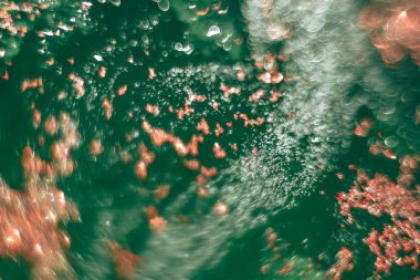 Yeşil arka planda güzel ışık bokeh.