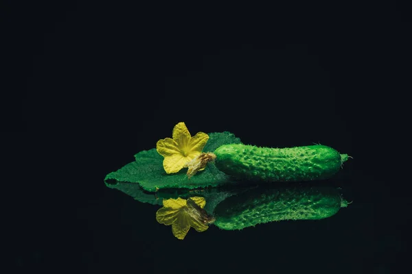 黒いガラスのテーブルの暗い背景に美しい新鮮なキュウリと黄色の花 — ストック写真