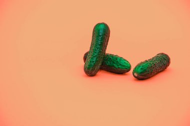 Yaşayan mercan arka plan üzerinde güzel üç salatalık. Yaratıcı konsept.