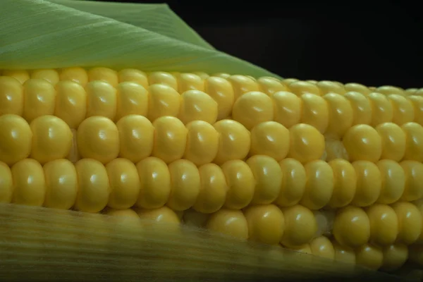 Close Beautiful Fresh Corn Maze Black Background Macro View — Stock Photo, Image