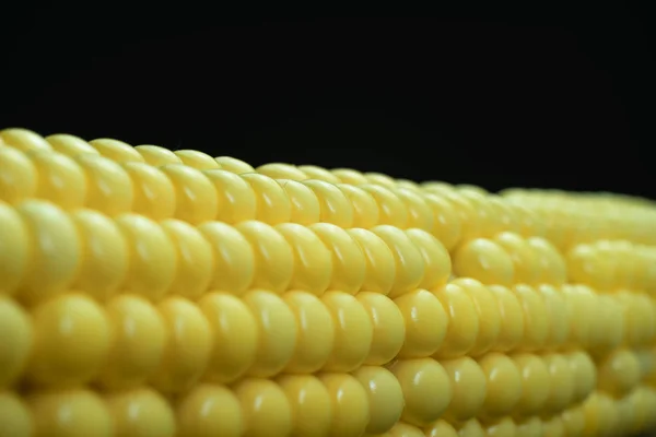 Close Beautiful Fresh Corn Maze Black Background Macro View — Stock Photo, Image