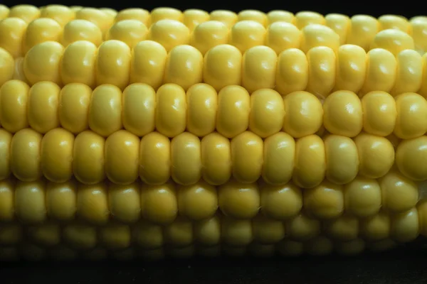 Close Beautiful Fresh Corn Maze Black Background Macro View — Stock Photo, Image