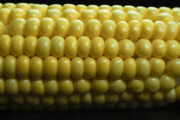 Close Beautiful Fresh Corn Maze Black Background Macro View — Stock Photo, Image