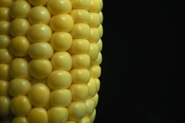 Close Beautiful Fresh Corn Maze Black Background Macro View — Stock Photo, Image