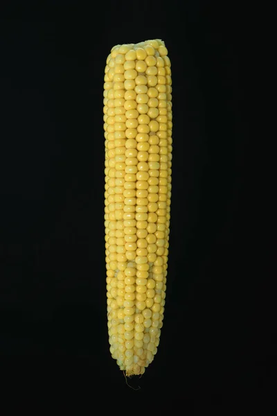 Gyönyörű Friss Kukorica Labirintus Fekete Alapon — Stock Fotó